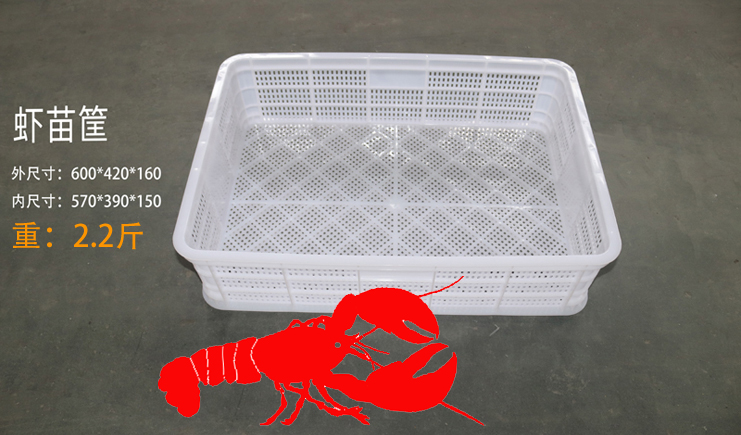 益樂上新啦！蝦苗存活率低？蝦苗筐聽完想打人