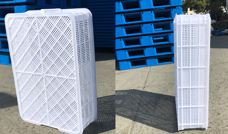 蝦苗存活率低？蝦苗筐聽完想打人