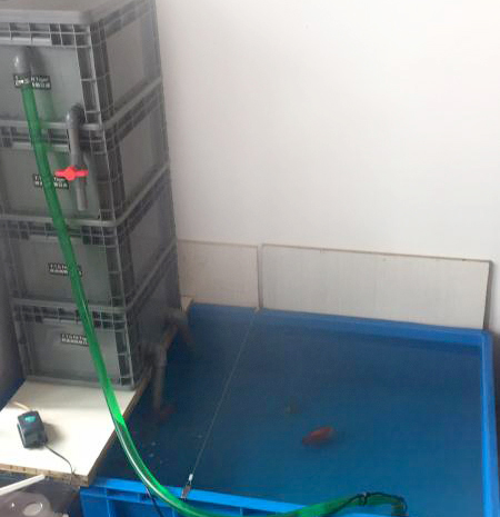 周轉(zhuǎn)箱養(yǎng)魚靠譜嗎？怕漏水看這里