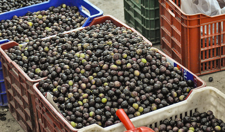 蔬菜水果塑料周轉(zhuǎn)筐，帶你玩轉(zhuǎn)不一樣的周轉(zhuǎn)筐