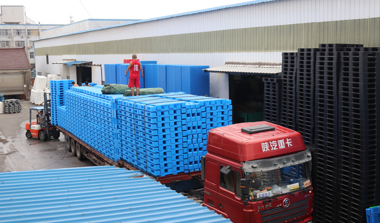 塑料托盤廠家閃現(xiàn)，寵你沒(méi)商量~